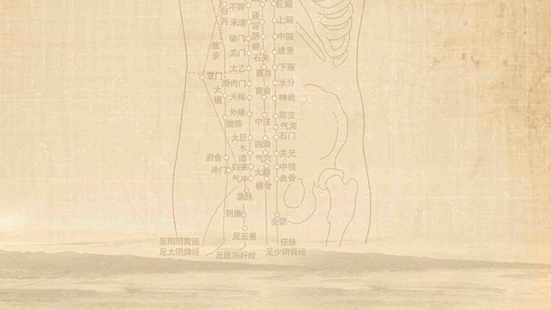 成都足疗按摩技师手法：揭秘传统技艺与现代实践