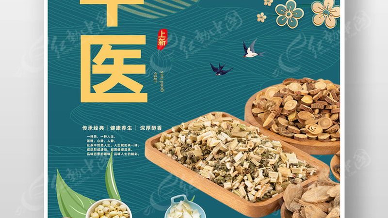 养生馆加盟代理合同模板：关键条款解析与注意事项