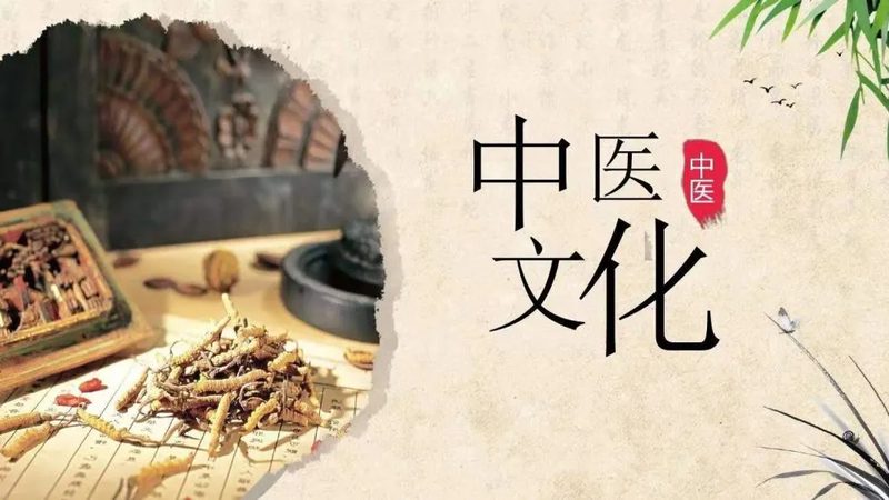 中药调理的价格受多种因素影响，以下是一些主要因素：
